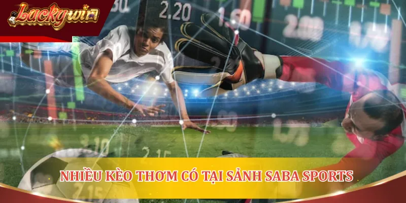 Nhiều kèo thơm có tại Sảnh Saba Sports để hội viên dễ dàng lựa chọn