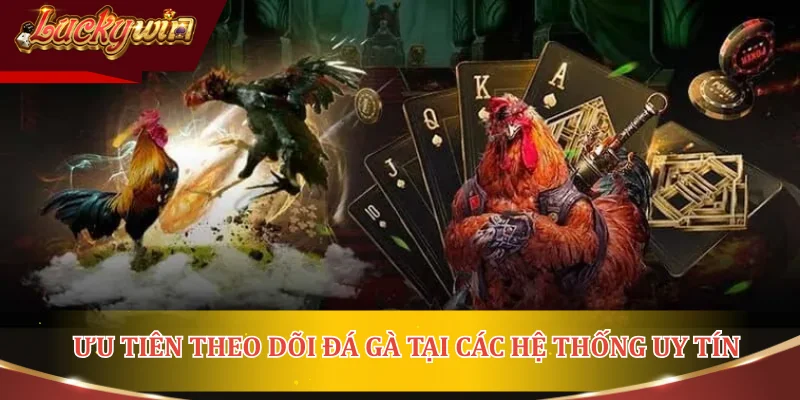 Ưu tiên theo dõi đá gà tại các hệ thống uy tín