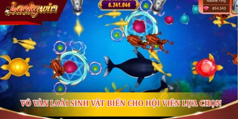 Vô vàn loài sinh vật biển cho hội viên lựa chọn