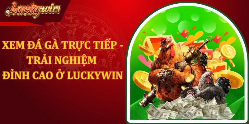 Xem Đá Gà Trực Tiếp - Trải Nghiệm Đỉnh Cao Ở LUCKYWIN